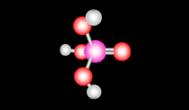 Acidum phosphoricum